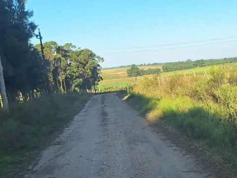 Venta chacra de 3,5Ha. Ruta 8 Km.42 Empalme Olmos