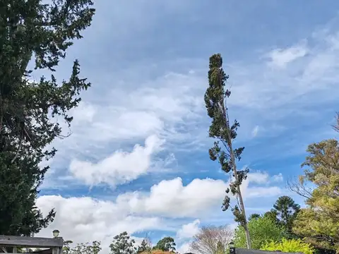 Ruta Gral. José Artigas km. 400