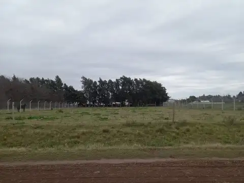 Terreno en Venta de 3590,0 m2