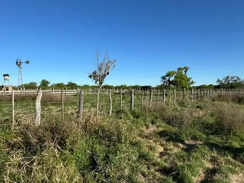 Campo Mixto 600 hectareas Sauce Corrientes