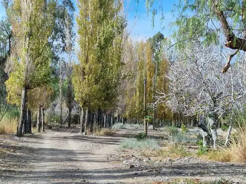 VENTA FINCA 12 HAS CON 2 CASAS PUCHUZUN CALINGASTA