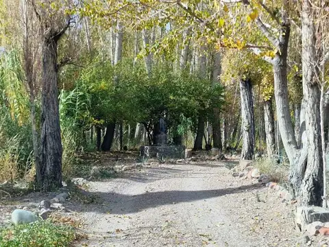 PUCHUZUN RUTA PROVINCIAL 400