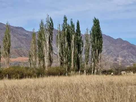 VENTA FINCA 12 HAS CON 2 CASAS PUCHUZUN CALINGASTA