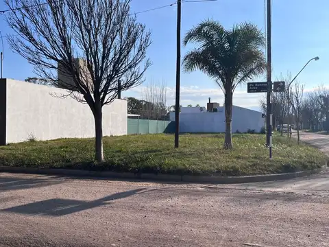 TERRENO EN PALMARES 3 - SOBRE BLVD BUENOS AIRES