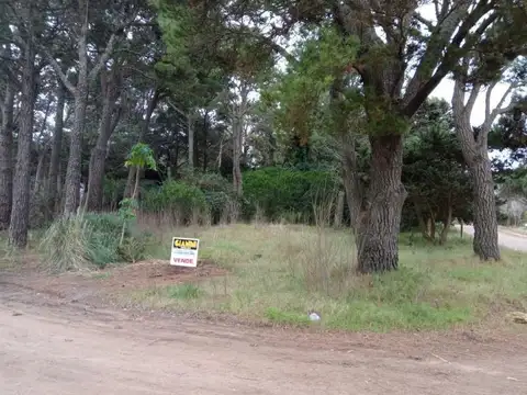 Terreno en Venta en Carilo, USD 230.000