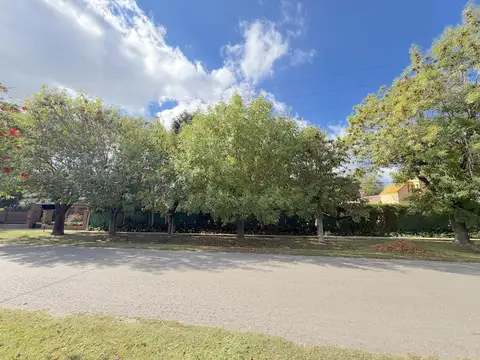 Terreno en Venta 50  mts Fondo