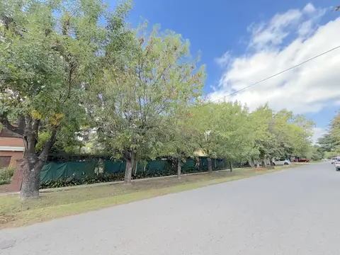 464 e/ 15a y 17 al 1000