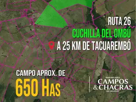 Ruta 26