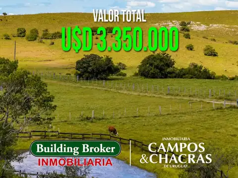 Campo en Venta de 650  ha