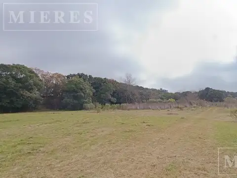 Fraccion de 172.000m2 (17,2 HA)  en venta Loma Verde