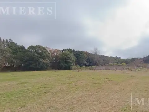 Fraccion de 172.000m2 (17,2 HA)  en venta Loma Verde