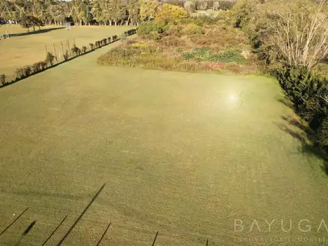 Terreno en Alquiler de 11208,0 m2