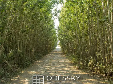 Campo en Venta con Alambrado