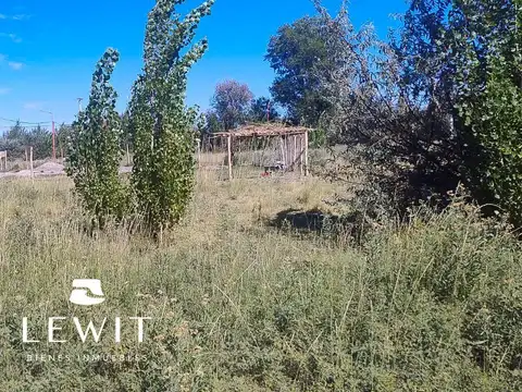 Terreno en Venta en Cinco Saltos, USD 12.000