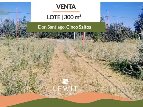 VENTA TERRENO 300m² CINCO SALTOS LOTEO DON SANTIAGO
