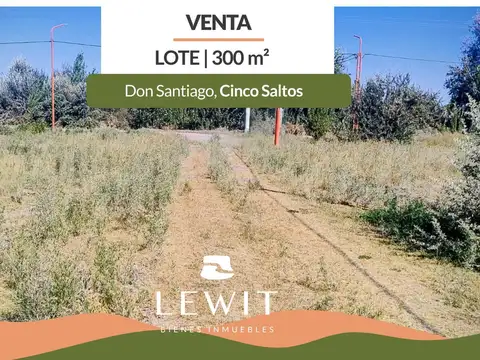 VENTA TERRENO 300m² CINCO SALTOS LOTEO DON SANTIAGO