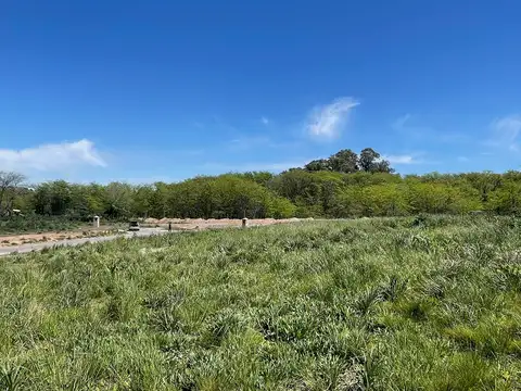 Panamericana km 56,5, B1670 100