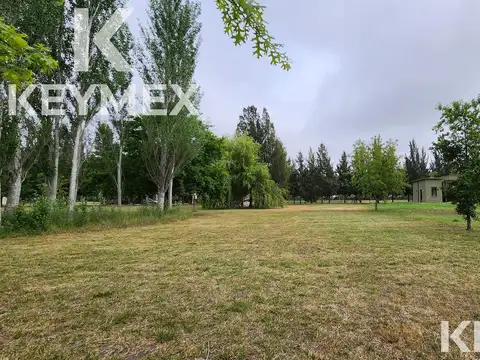 Terreno en Venta 60  mts Fondo