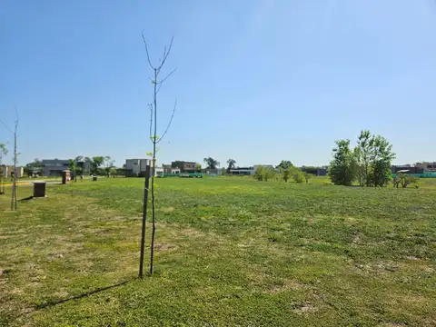Terreno Lote  en Venta ubicado en Santa Lucia, Pilar del Este, Pilar