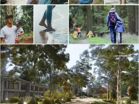 Terreno en Venta en Carilo, USD 96.000