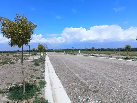 Venta Lote Tupungato Valey Mendoza
