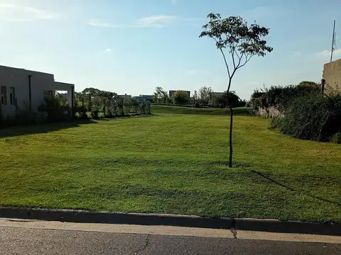 Terreno en Venta en Pilar del Este - San Ramiro, USD 49.900