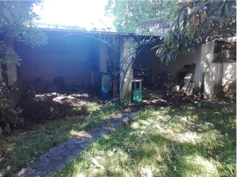 Los Tulipaneros 1800