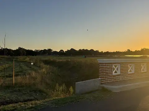 Terreno en Venta 20  mts Frente