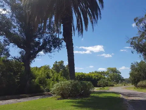 Terreno en Venta en Canning, USD 61.000