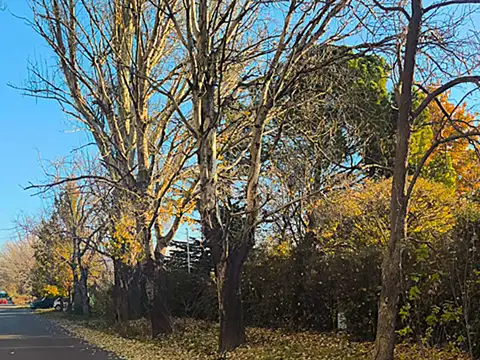 Casa Quinta en Venta La Consulta Valle de Uco