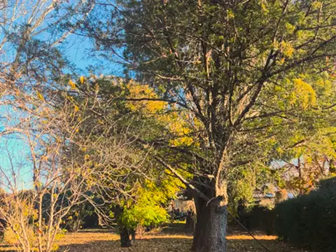 Quinta en Venta en La Consulta, USD 215.000