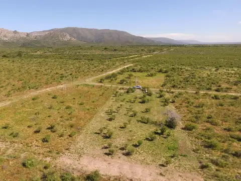 A 400 Mts De La Ruta 1