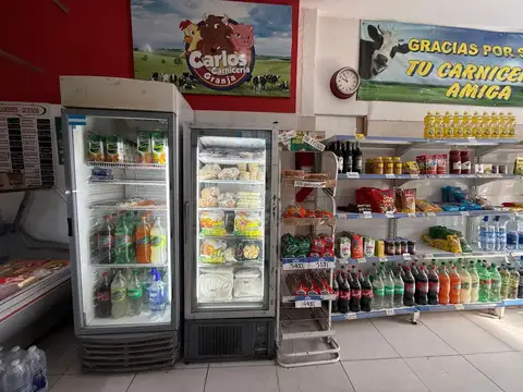 VENTA CARNICERIA FONDO DE COMERCIO LUGANO