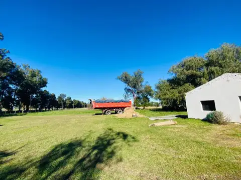 Campo - Venta - Argentina, Cañuelas - CALLE  67