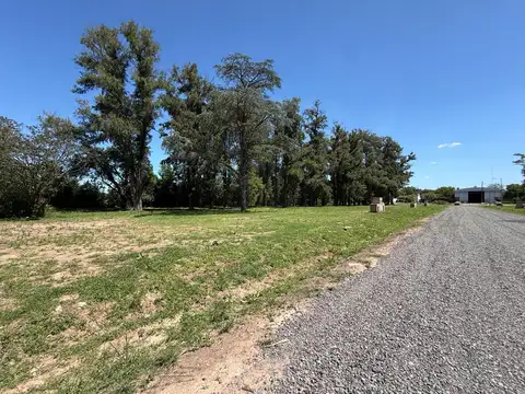 Terreno en Venta de 317,0 m2