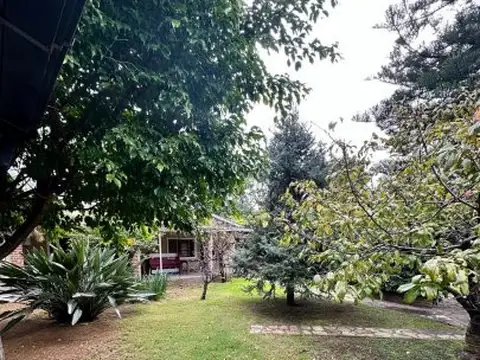 Centenera al 1800