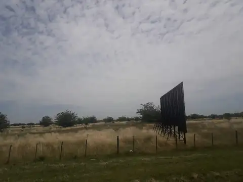 Campo en Venta Ganadero