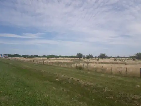 CAMPO SOBRE RUTA 2   129 HECTARIAS 