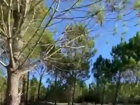 ¡OPORTUNIDAD! INCREIBLE LOTE EN MARITIMO 3 Costa Esmeralda