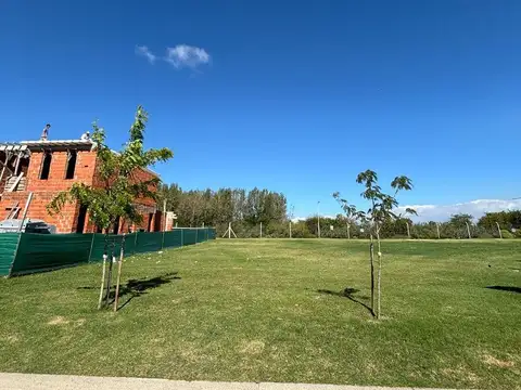 Terreno en Venta de 537,0 m2