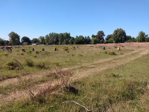 LOTE INDUSTRIAL 40.000 M2. AU OESTE COLECTORA SUR .KM 47