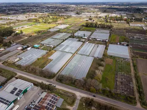 HECTAREAS EN ABASTO EN VENTA -  LA PLATA