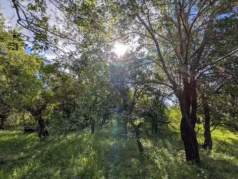 Excelente ubicacion, se vende terreno en Villa de las Rosas, Traslasierra