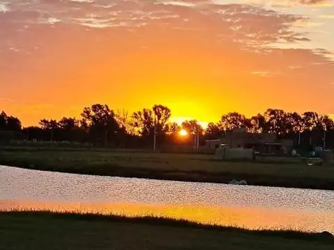 Fincas de San Vicente