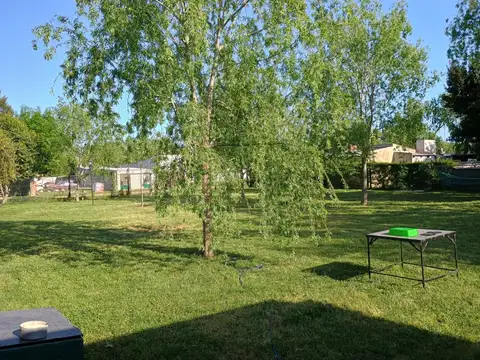 Belisario Roldán 2400