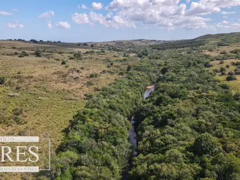 Campo de 19 ha al norte de José Ignacio con arroyo 