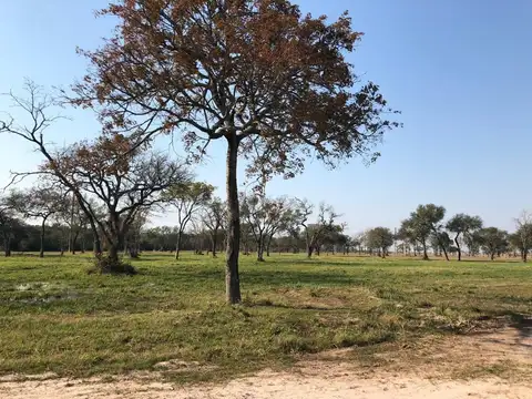 Terreno en Venta 81  mts Fondo