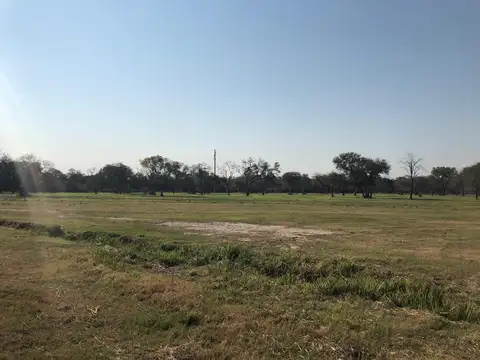 Ruta 11 km 1010 - Sobre ruta - 2500m2 cada uno