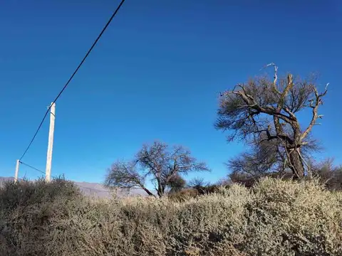 Terreno en Venta en Cafayate, USD 9.800