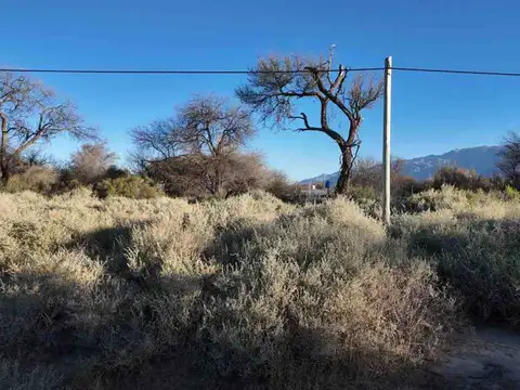 Terreno en Venta de 300,0 m2
